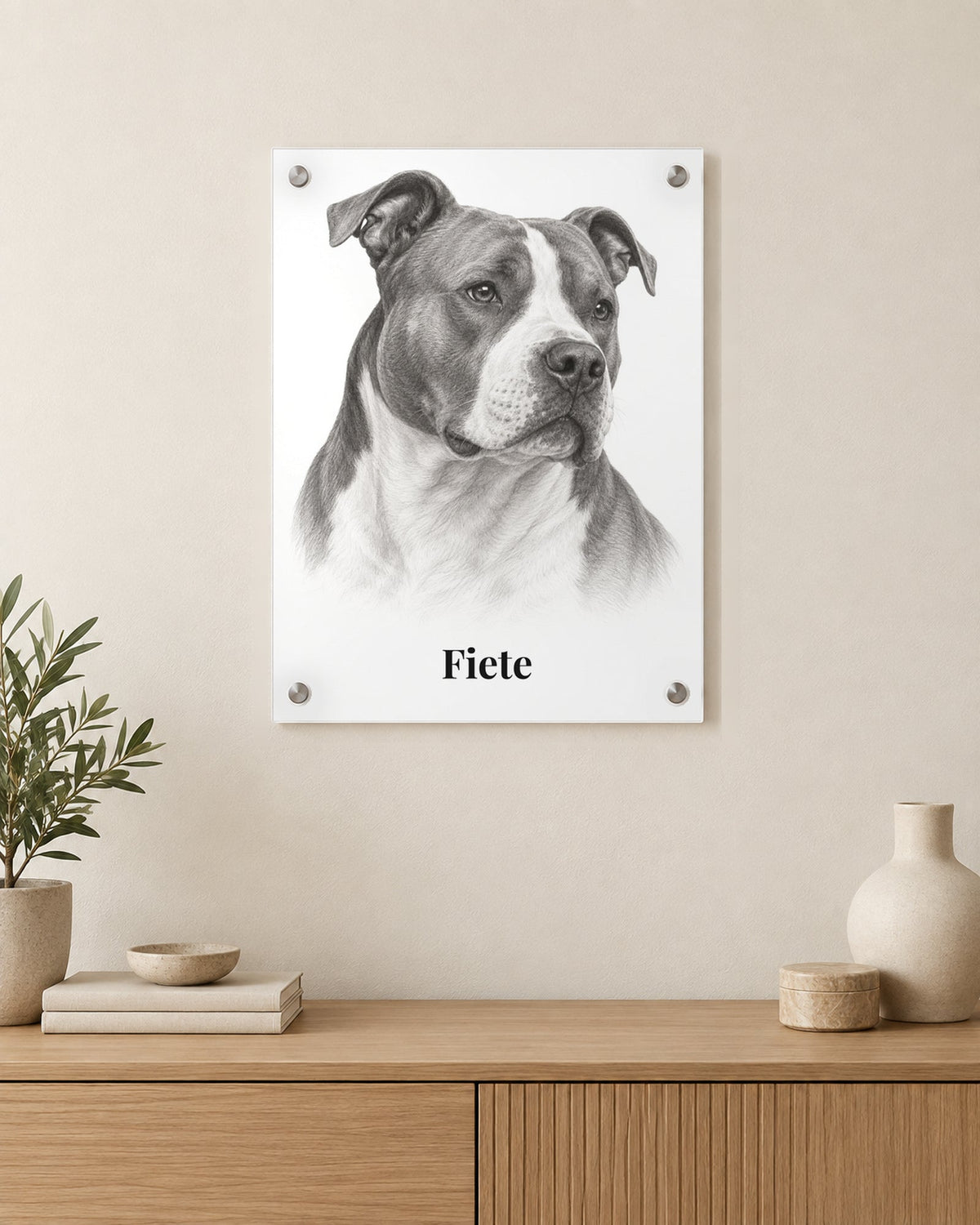 American Staffordshire Terrier im Sketch-Stil auf Acrylglas