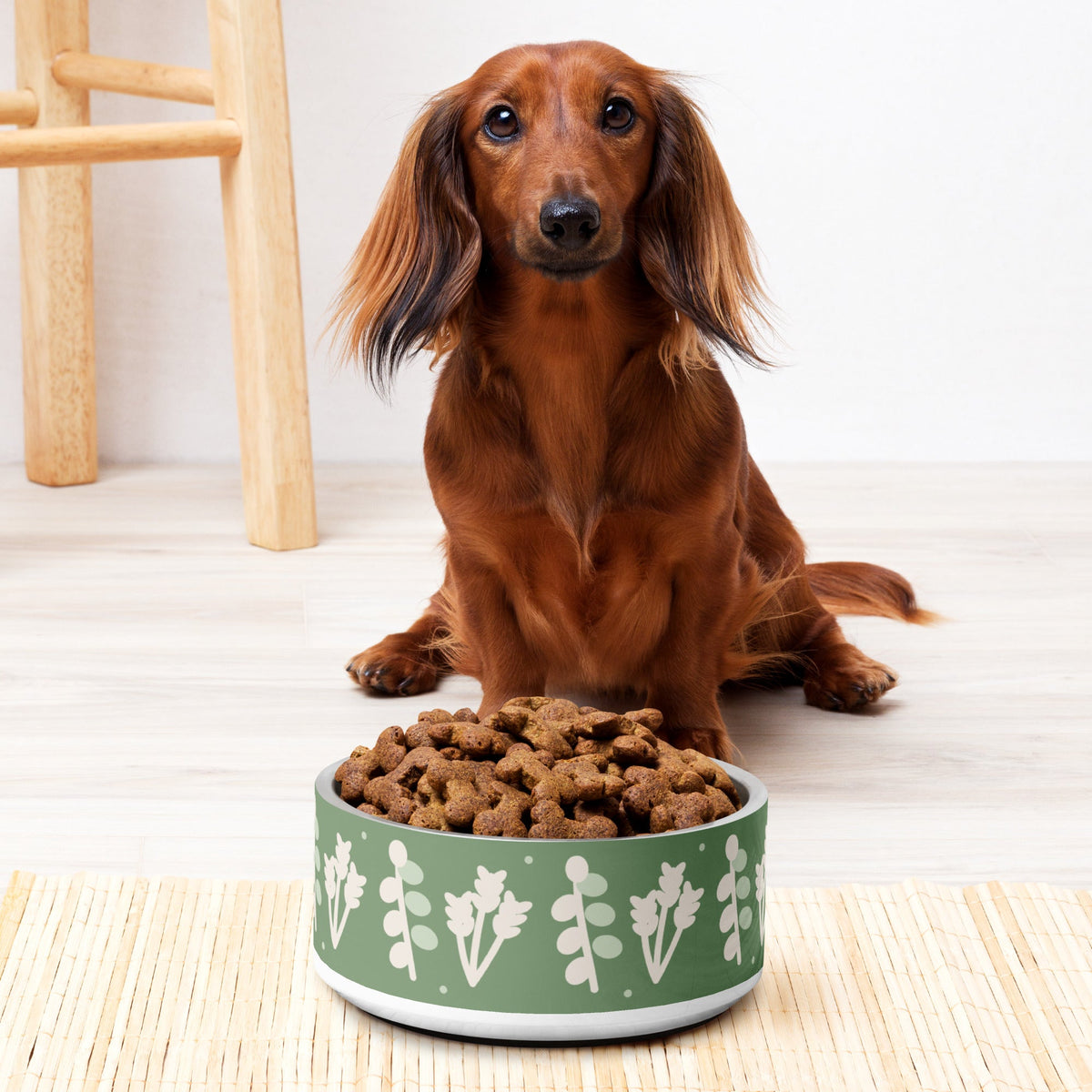 Long-haired Dachshund sitting in front of a green food bowl with a plant pattern, filled with dry food