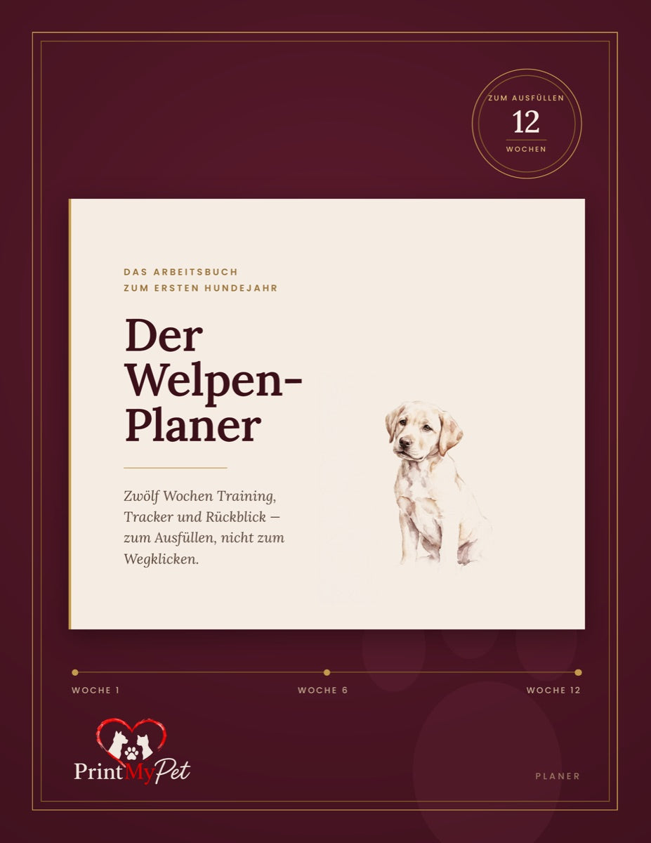 Der Welpen-Planer: Das Arbeitsbuch zum ersten Hundejahr, Cover