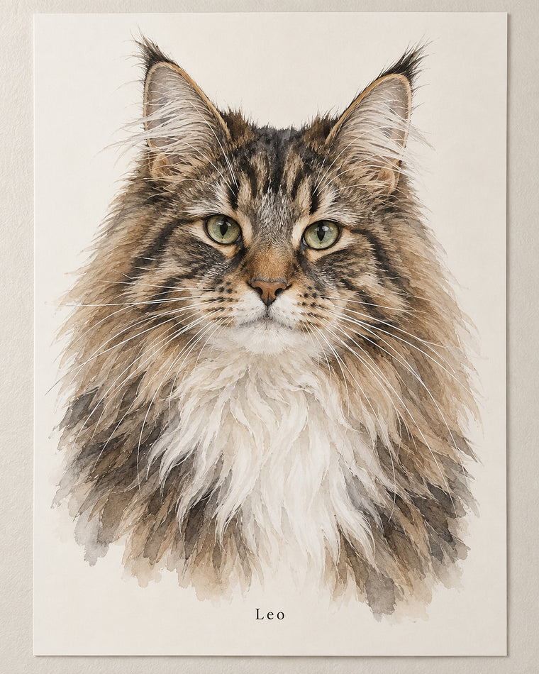 Cat portrait poster: Norwegian Forest Cat named Leo