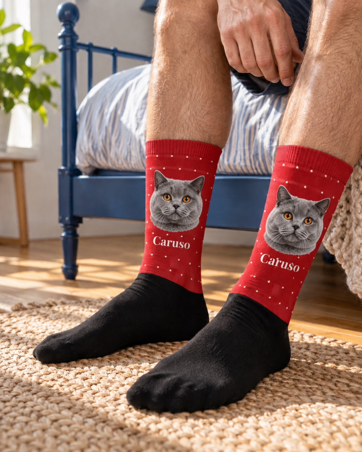 Getragene Fotosocken mit grauer Britisch Kurzhaar Caruso auf roten Schäften und schwarzen Füßen vor einem blauen Bett