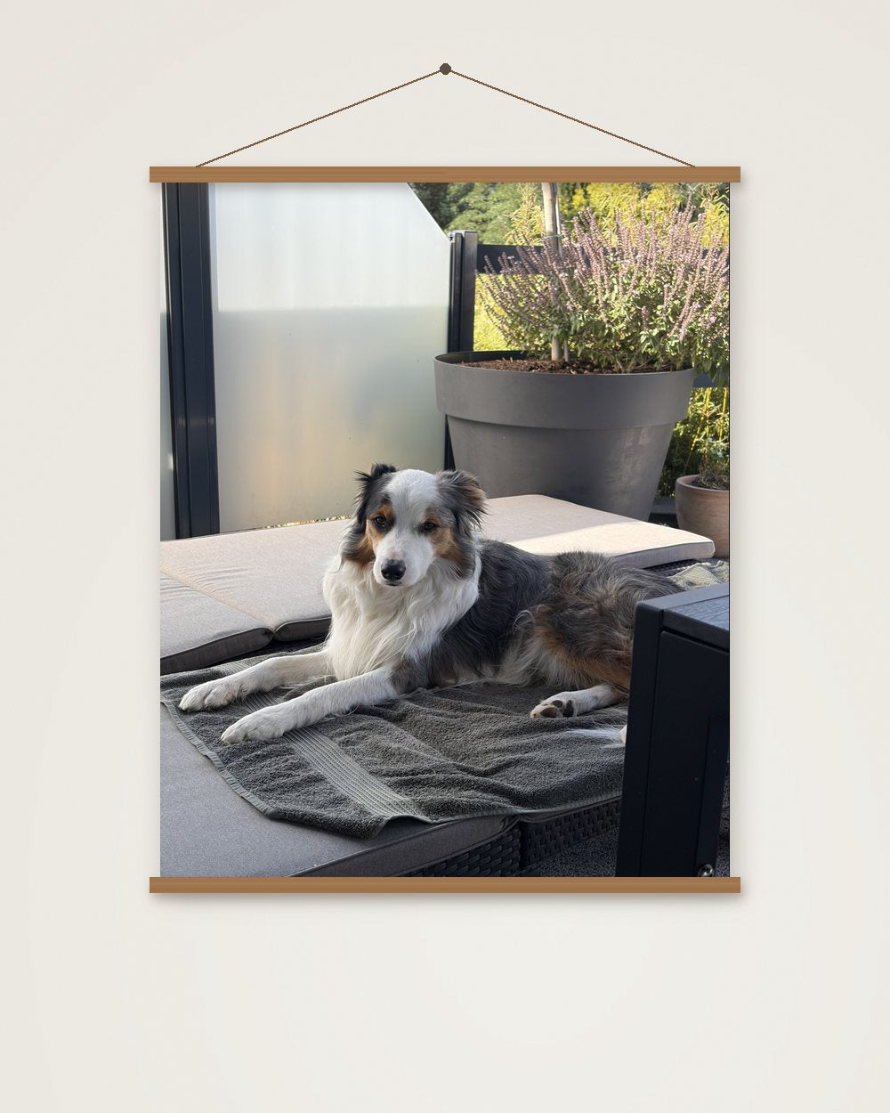 Hundeportrait als Original als Poster mit Aufhängung, Beispiel