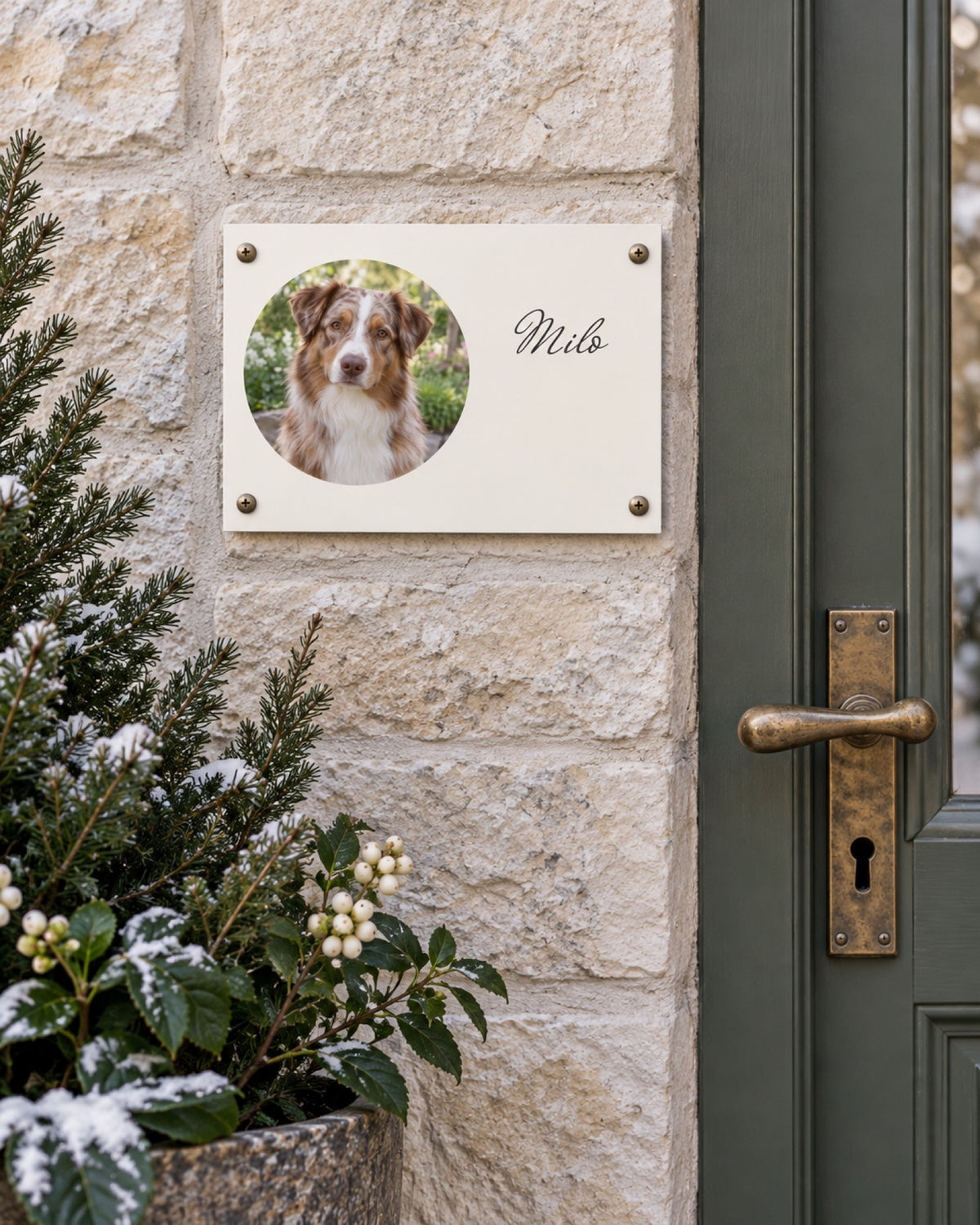 Türschild mit Australian Shepherd Milo an einem stillen Steinplatz im Winter