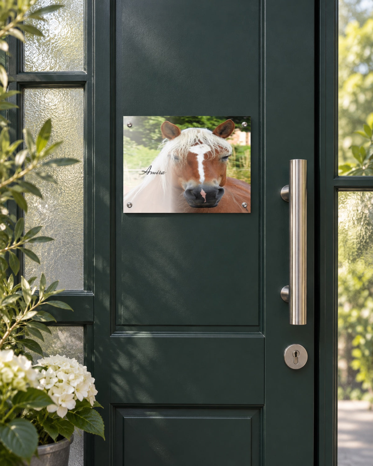 Türschild mit Haflinger Amira an einem grünen Wintergarteneingang im Frühling